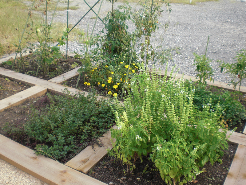 菜園 ガーデンアイテム 長野県のガーデニングのことならアイザックデザイン