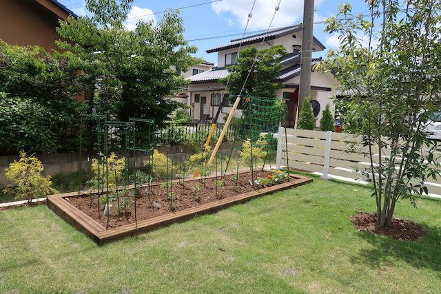 メンテナンスが楽なかっこよいお庭 長野県のガーデニングのことならアイザックデザイン